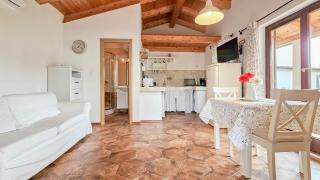 Marinela Studio House - Novigrad - 8