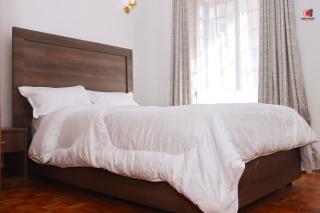 Luxurious Graceland Apartment - Nairobi - 6