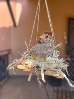 Tuscany Location - Marta - 9