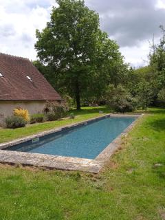 Maison Figuier - Argent-sur-Sauldre - 3