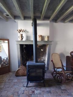Maison Figuier - Argent-sur-Sauldre - 5