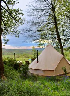 Catgill Farm - 3