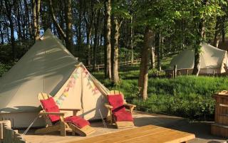 Catgill Farm - 2