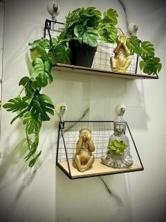 Studio - Dorohoi - 3