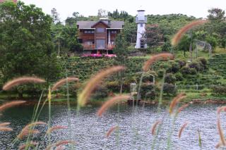 kamely hill bảo lộc - Bảo Lộc - 3