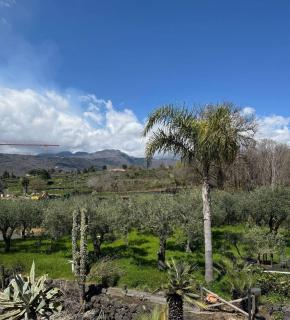 Zest House - Santa Venerina - 8