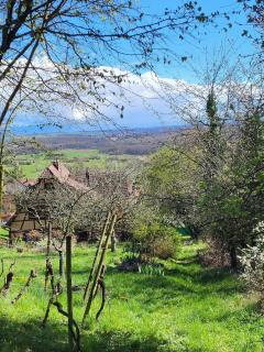Quiet apartment in historic village - Oberbronn - 9