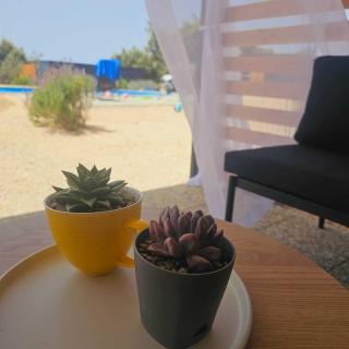Mobile home Maris with shared pool and sea view - Pirovac - 4