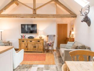 The Haughmond - Shrewsbury - 7