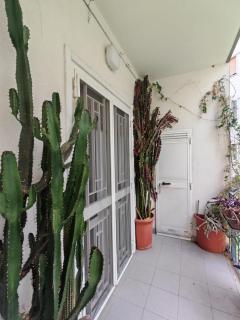 Mandragora #11 HOWME - Bari - 6