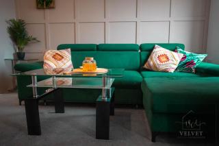 Spacious 1-Bedroom Home with free private parking - Swansea - 5