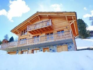 Chalet Perle des Collons - Thyon-Les Collons - 0