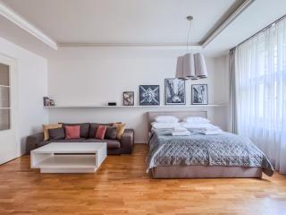 UNIQUE Old Town apartments at Palace Dlouha - Praag - 8