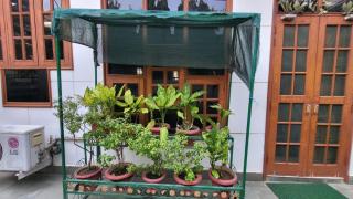 Sunlit Stays - The Luke - Lucknow - 5