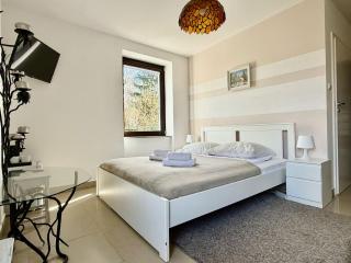 EASY RENT Apartments- Willa Alba - Nałęczów - 1