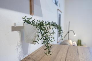 Cozy apartment with free parking in the city centre - 2