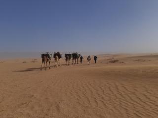 Camp Les Bedouins iriki - 1