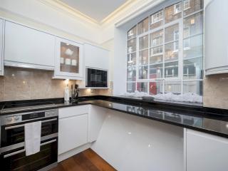 3-Bed Flat Ensuite Near Farringdon Barbican Pass the Keys - Londra - 7