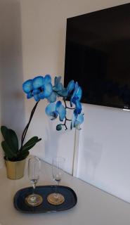 Blu Marina Apartment - Bari - 7