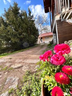 Ferienhaus Emma Dresden Hellerau - 7