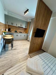 Sofia Residence Studio Cetate - 4