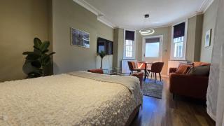 Spacious Studio for 4 flat near Regents Park n2 - Londra - 7