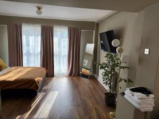 Spacious studio flat next to Earls Court Station - Londra - 7