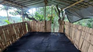 Pepper Mist Wayanad Homestay - 5