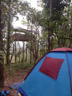 Pepper Mist Wayanad Homestay - Tindummal - 7