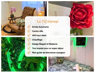 Pitchoune - Centre -Wifi - Equipé - Dax - 8