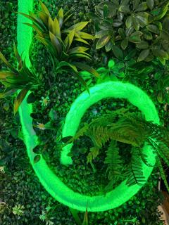 Pitchoune - Centre -Wifi - Equipé - Dax - 3