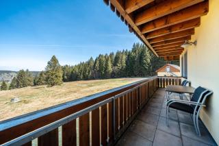 Ferienwohnung Reiner - Schonach - 1