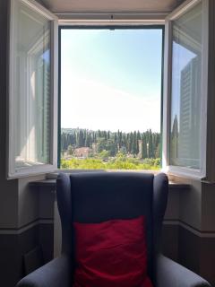 Toscana in Città - Ampio APT immerso nella natura - Firenze - 8