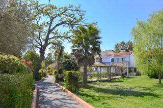 Grand et joli studio - Miami 31 - Canet-en-Roussillon - 4