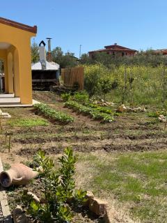 B&B Casa Cruccas - Castiadas - 3