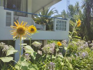 Guest House Peter Flanders - Tigre - 8