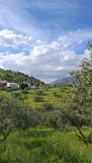 Villa Bellido - Alora - 6