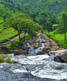 Kay's Tea Estate Bungalow with Waterfall View - Kotagiri - 0