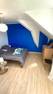 Magnifique T2 Cosy refait à neuf - Fleury-les-Aubrais - 5