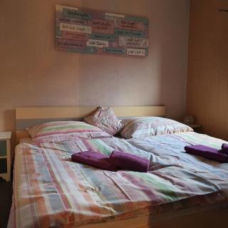 Ferienwohnung Hollerbusch - Kottmar - 3
