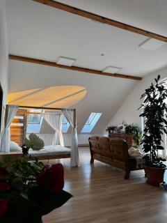 Apartament Jezioro Łabędzie - - 2