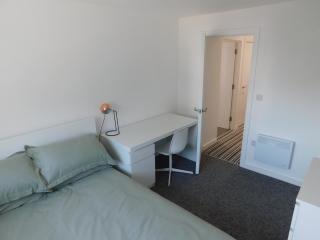 Flat 1, 1 Hampton Lane - Bristol - 7