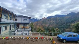 The Birds Paradise - 7