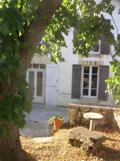 Maison spacieuse à Vic-Fezensac avec jardin - Vic-Fezensac - 8