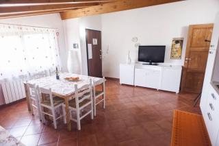 Tenuta Pace - Tollo - 5