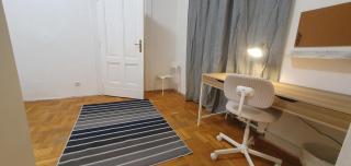 VAC1 Spacious flat near Central Market & Danube river - Budapest - 1