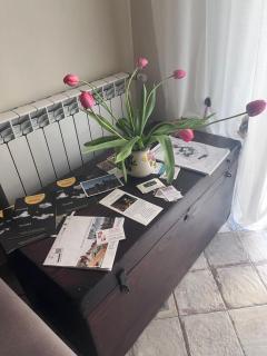 B&B Camelia - 4