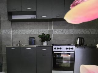 Revolution Star Apartman - Leskovac - 6
