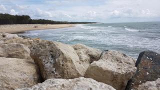 Mobil home climatisé récent 2 salles d'eau, 2 WC à SIBLU Bonne Anse plage - 2