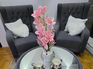 Revolution Star Apartman - Leskovac - 7